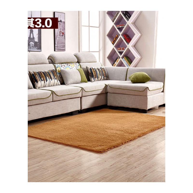 简约现代地毯卧室满铺房间可爱家用地垫客厅沙长方形床边榻榻米