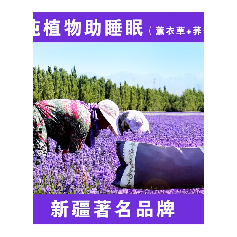 薰衣枕头荞麦枕头助睡眠压力失眠护颈枕送长辈