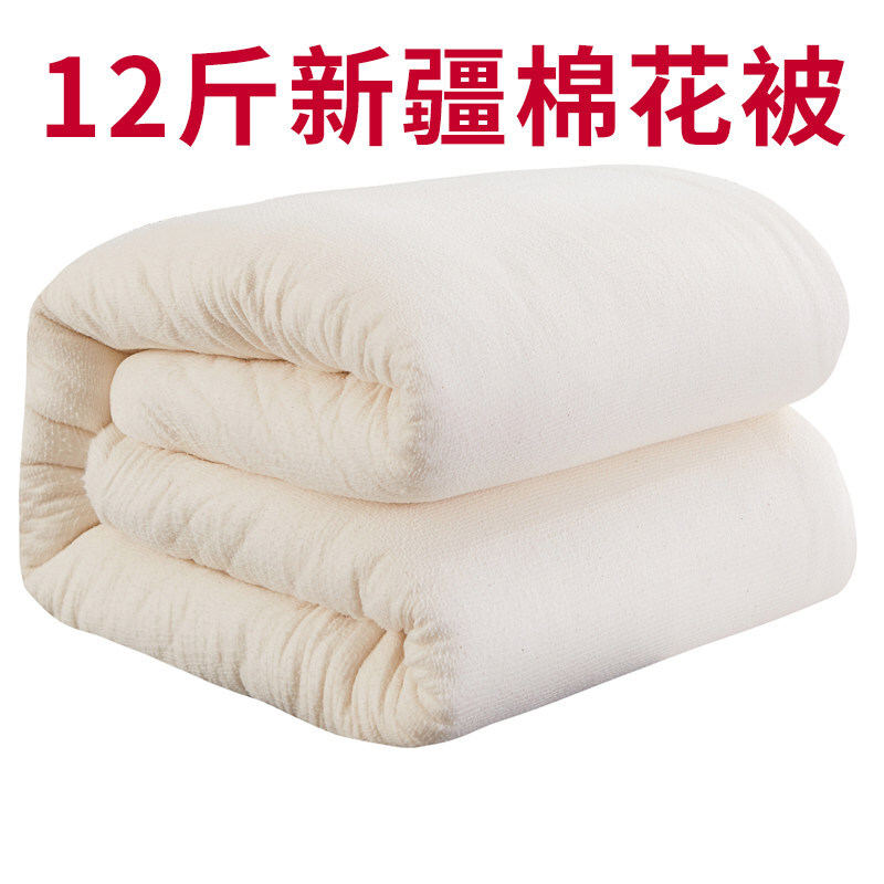 新疆棉被冬被棉絮床垫纯棉花填充物春秋被子加厚保暖10斤棉花被芯