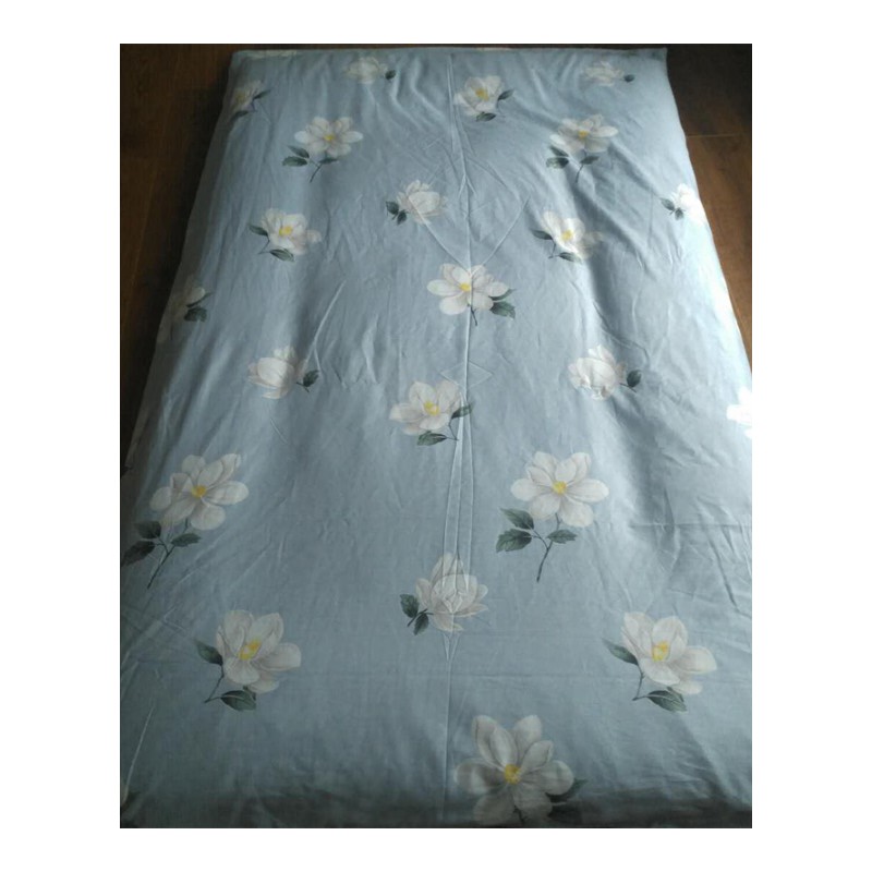 床垫保护罩 全棉床垫罩 全包围纯棉被套可拆洗拉链床罩单垫套包邮