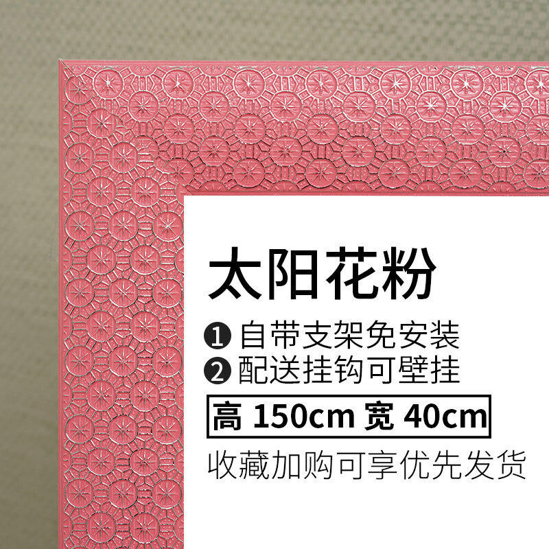 实木欧式全身穿衣镜服装店试衣镜子卧室落地镜壁挂镜两用白金40X150其他