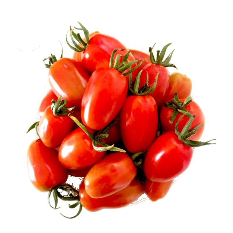 东北特产409小柿子牛奶圣女果 小柿子新鲜水果5斤