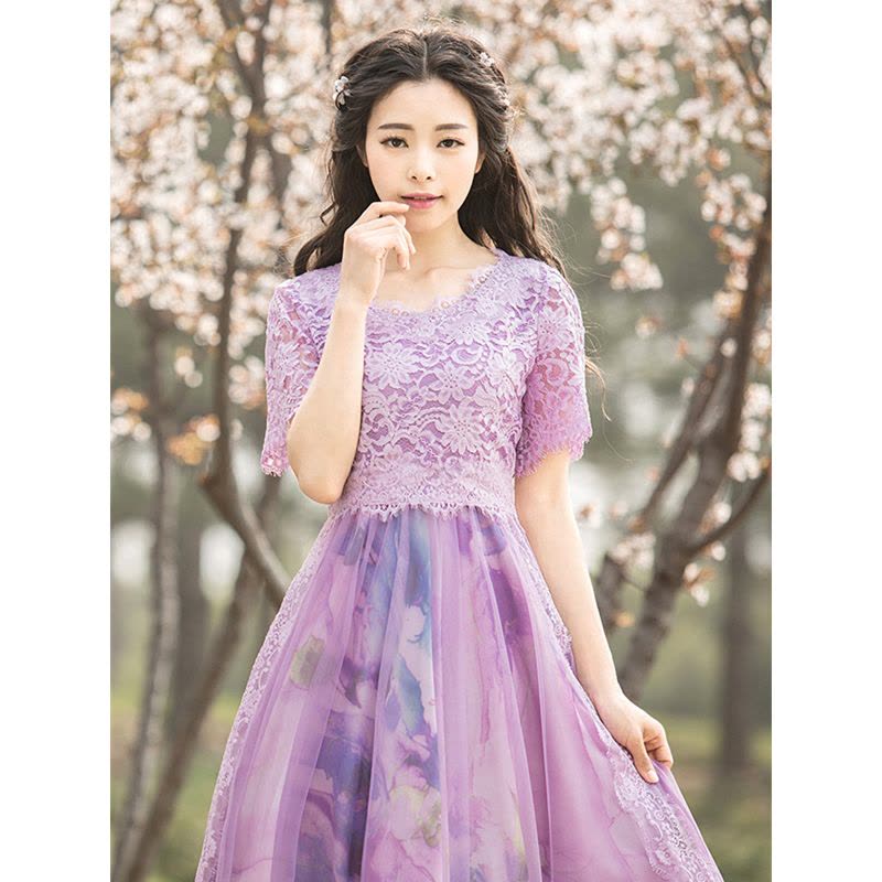 烟花烫2018春夏新品女装气质甜美修身蕾丝雪纺印花连衣裙 南江26006201图片