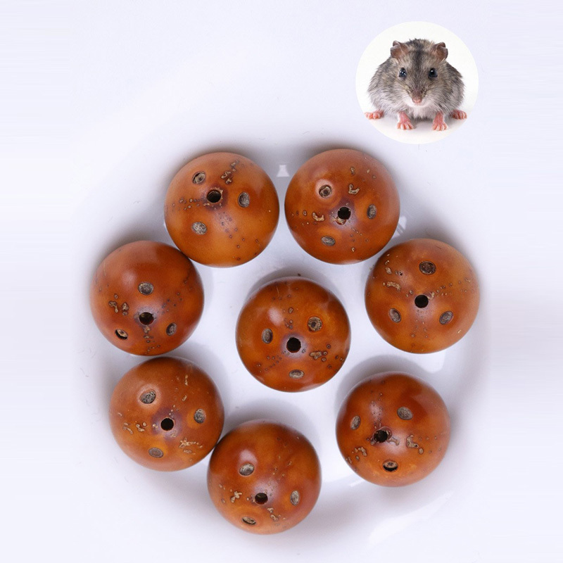 悦木之源抛光招财鼠十八子手链13mm