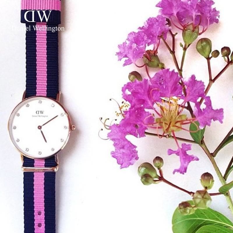 Daniel Wellington丹尼尔惠灵顿DW手表女 时尚水钻织物腕表34mm 石英表图片