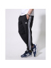 阿迪达斯adidas男装收腿长裤-TR30P3-BW