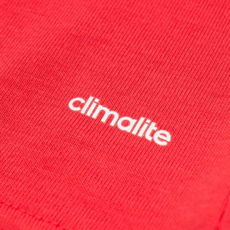 Adidas阿迪达斯女装夏季运动休闲圆领透气短袖T恤CF8940图片