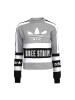 ADIDAS阿迪达斯春季女子运动休闲舒适套头卫衣-AY8599