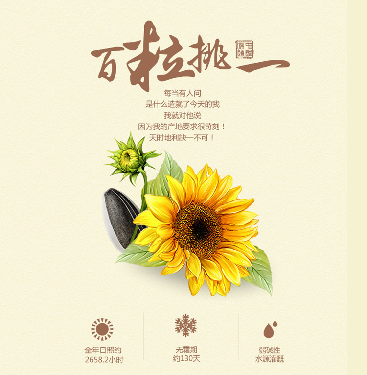 洽洽瓜子五香味坚果炒货恰恰葵花籽量贩五香瓜子500g