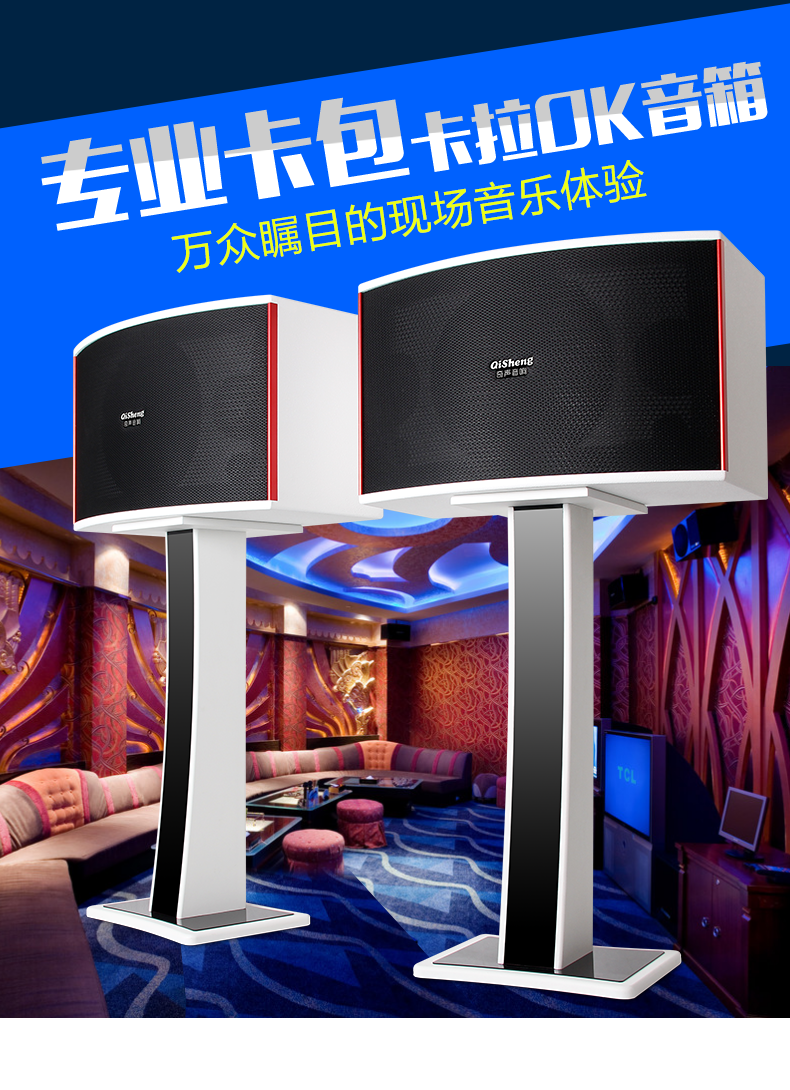 qisheng/奇声 828家庭用ktv卡拉ok点歌音响套装【含专用功放 触摸屏