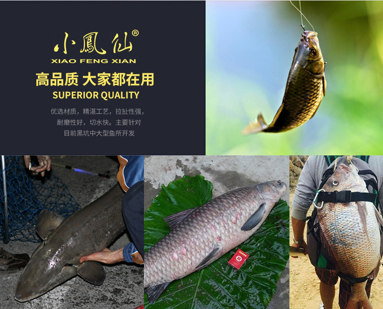 小凤仙钓具 女摩巨物钓线 50米黑坑大物鲟鱼线青鱼主线子线钓鱼线
