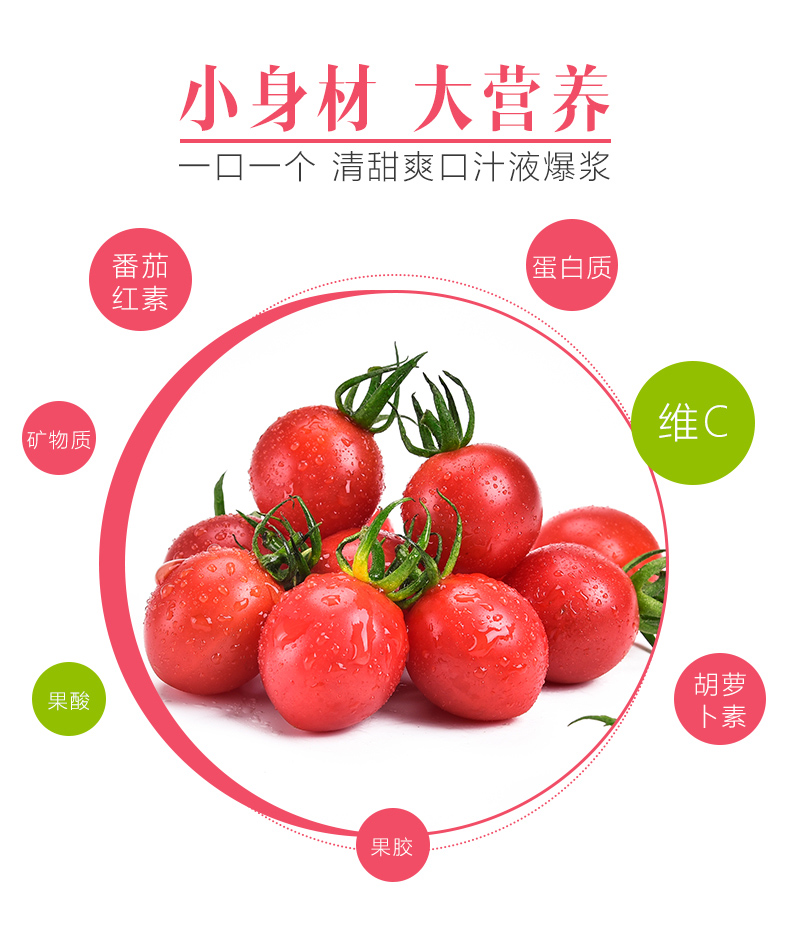 广西千禧圣女果1kg新鲜水果