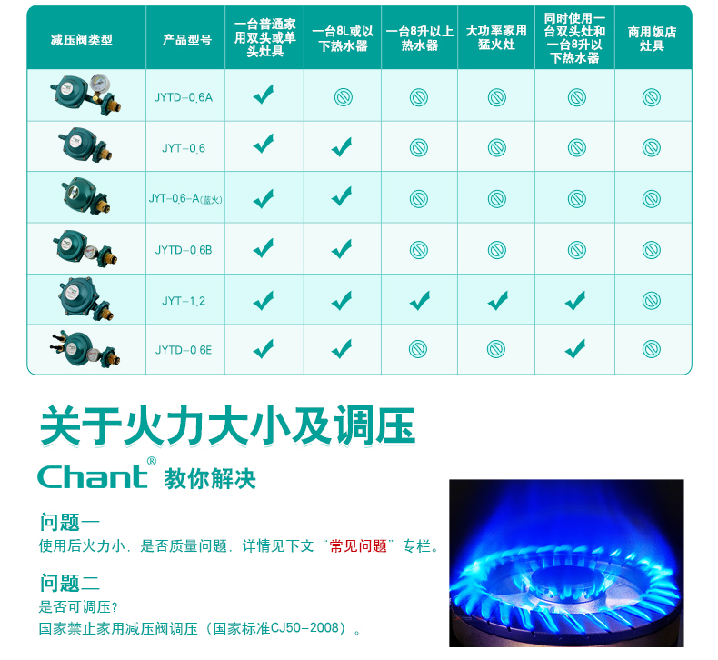 创尔特（Chant）JYTD-0.6E 减压阀 煤气液化气减压阀 双嘴带表家用燃气减压阀