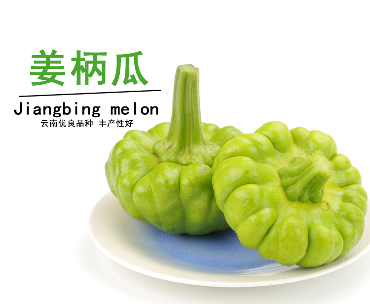 博多客姜柄瓜现摘姜饼瓜农家新鲜蔬菜云南特产南瓜小绿瓜5斤装