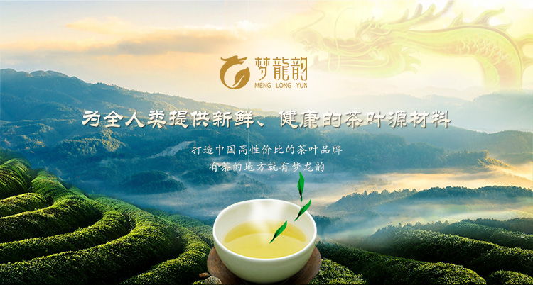 中华特色宁德馆梦龙韵红茶金骏眉茶叶礼盒装武夷山桐木关红茶320克