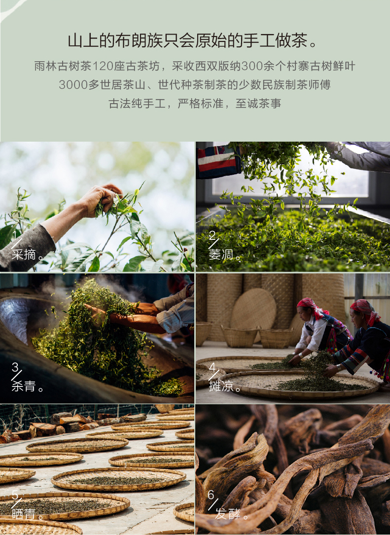 雨林古树茶动物系列熟茶古树普洱茶熟茶90g