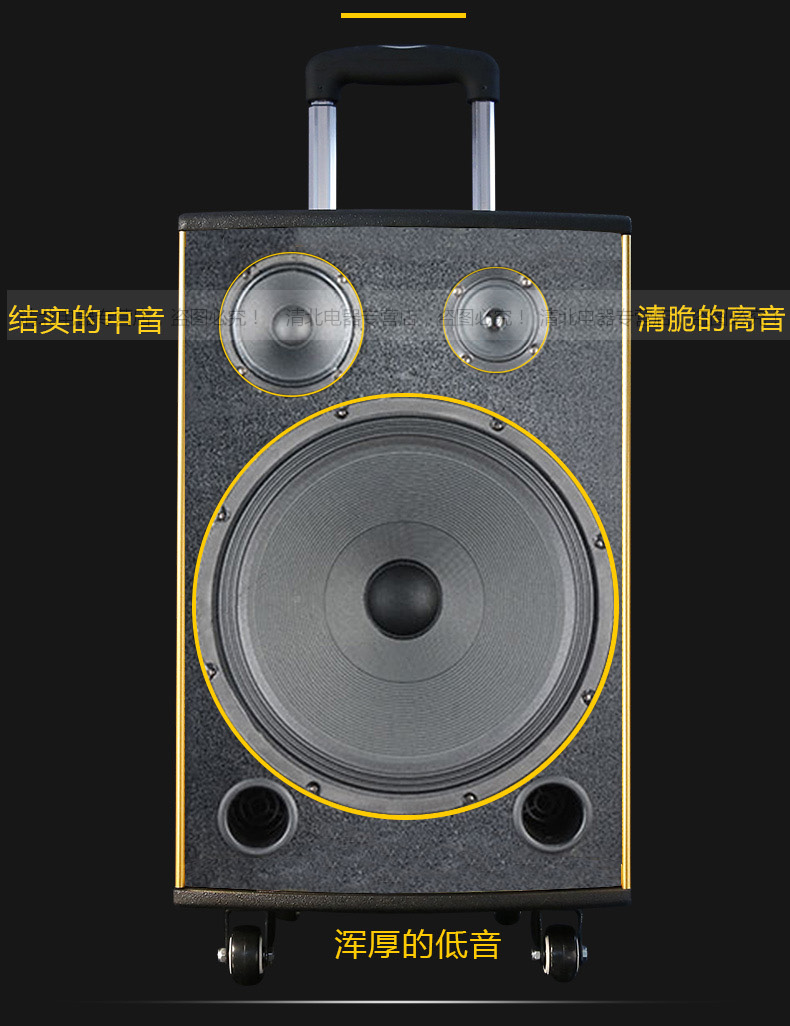 SanSui/山水SG2-10 户外乐队便携式移动拉杆音箱大功率舞台音响广场舞音响 2.0声道家用音响设备 10吋金色标