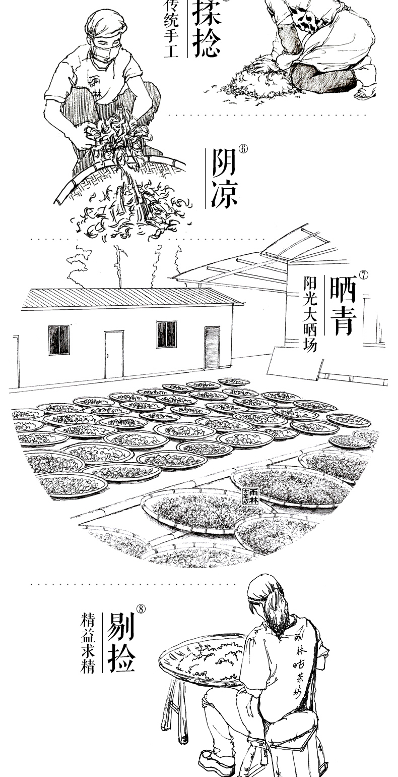 每满300减100雨林古茶坊嫩梢2015一芽一叶古树普洱茶生茶散茶罐装60g