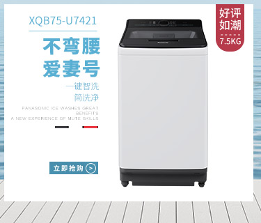 松下洗衣机XQB85-T8021
