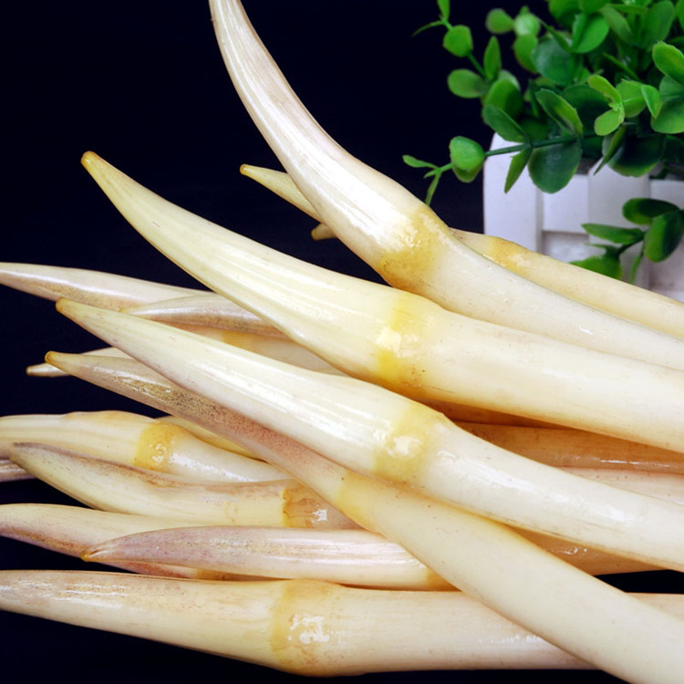 嫩藕尖25kg藕带藕芽新鲜cf