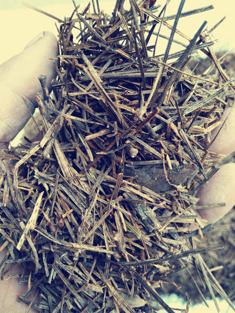 马特维(matewei)园艺用品 腐熟纯松针兰花君子兰多肉专用土松针土腐殖