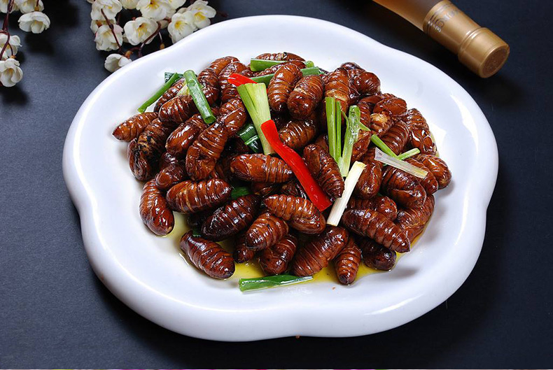 渔鼎鲜东北特产新鲜蚕蛹350g柞蚕蛹二黄大茧蛹生鲜海鲜水产