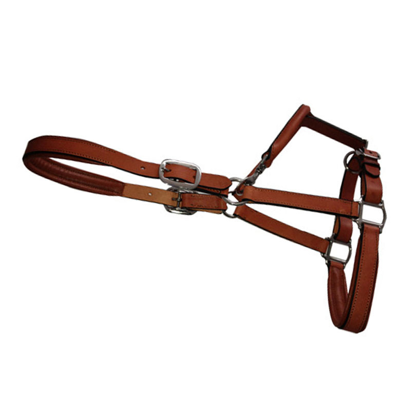 欧伦萨 户外运动骑行骑马装备马笼头 马术马具用品3317