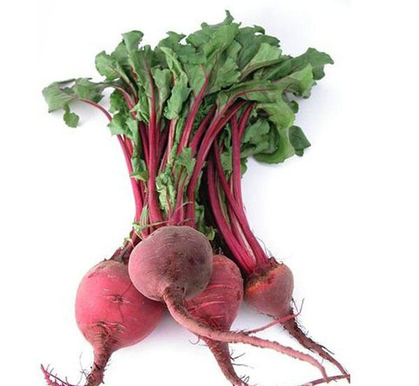 我要发芽蔬菜种子红甜菜种子红根甜菜紫菜头多汁味甜根部为球形表皮