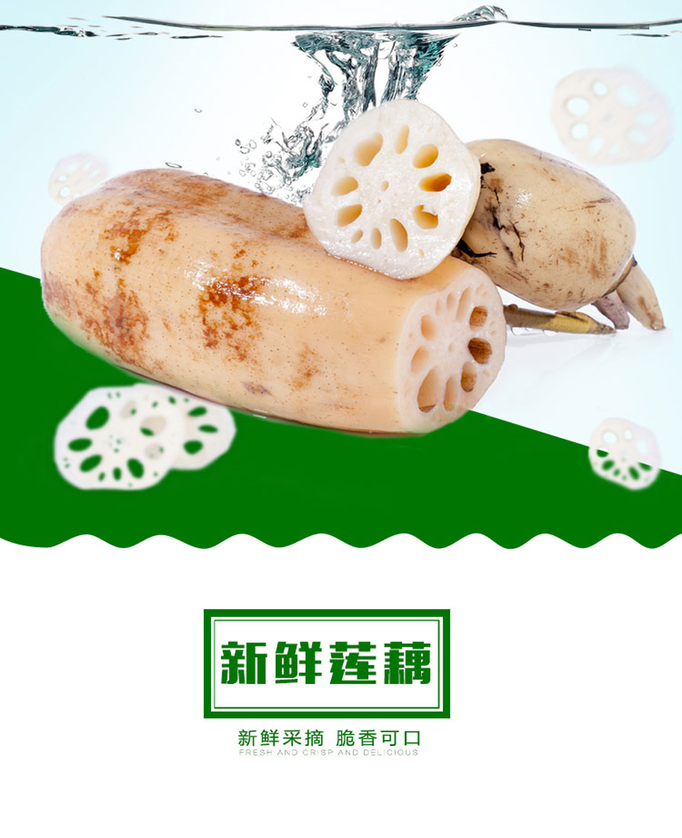 湖北洪湖 新鲜莲藕 脆藕 嫩藕生藕蔬菜 2.5kg