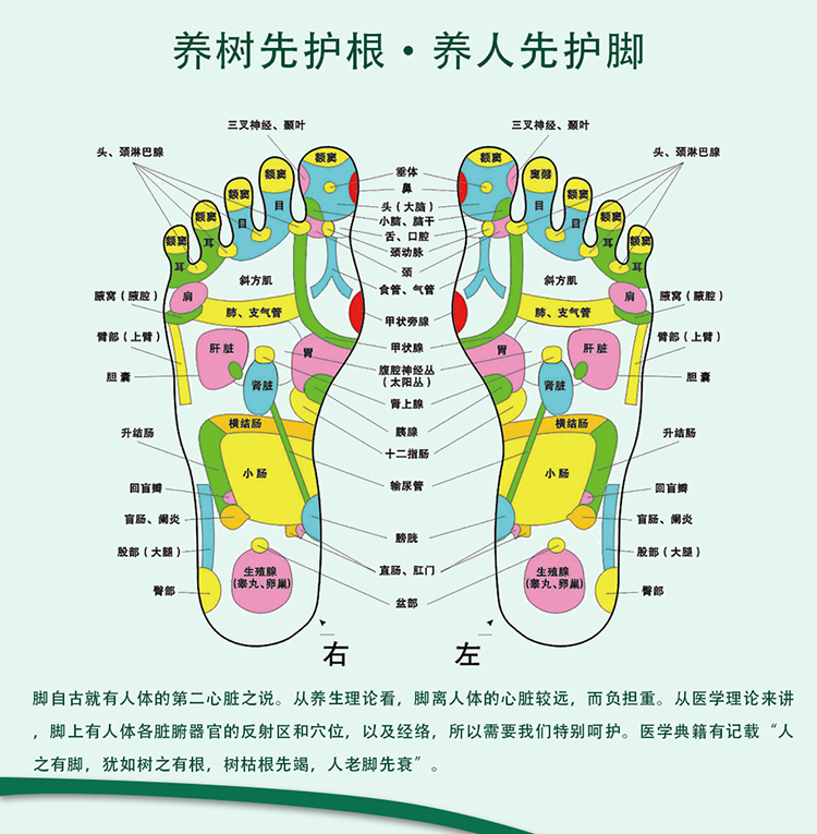 百菌清精油治脚气图片