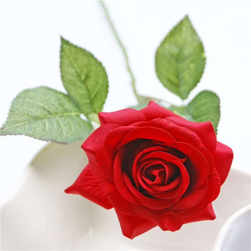 琳朗linlang红玫瑰花玫瑰花节日鲜花1束价格带卡片