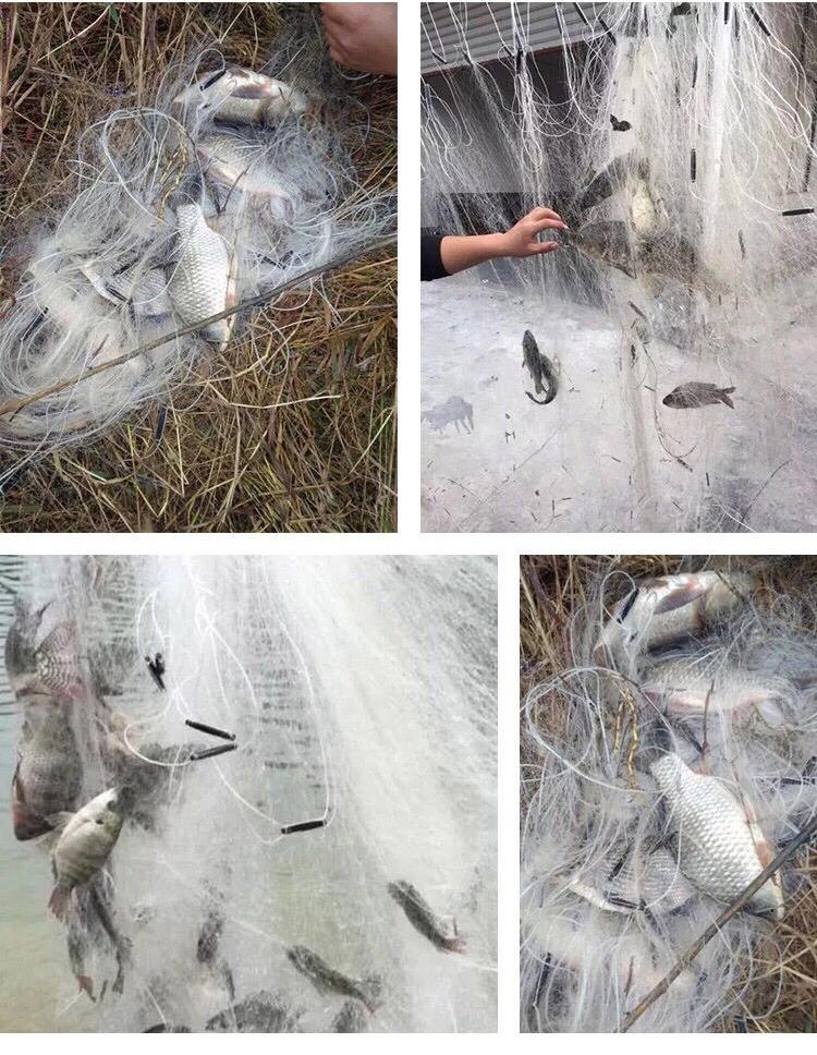 鼎立dingli鱼网丝网三层渔网丝网渔网挂网挂子捕渔网沉网鱼塘鱼网水库