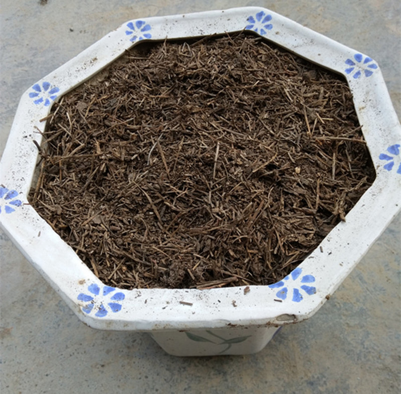 马特维(matewei)园艺用品 腐熟纯松针兰花君子兰多肉专用土松针土腐殖