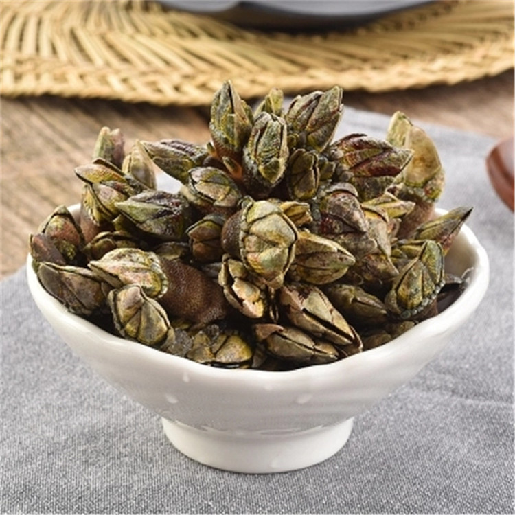 小佛手螺狗爪螺龟脚螺观音手石浦海鲜新鲜鲜活500g