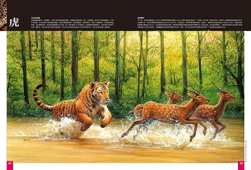 123 3d探索大百科 新奇视野:超级猎手