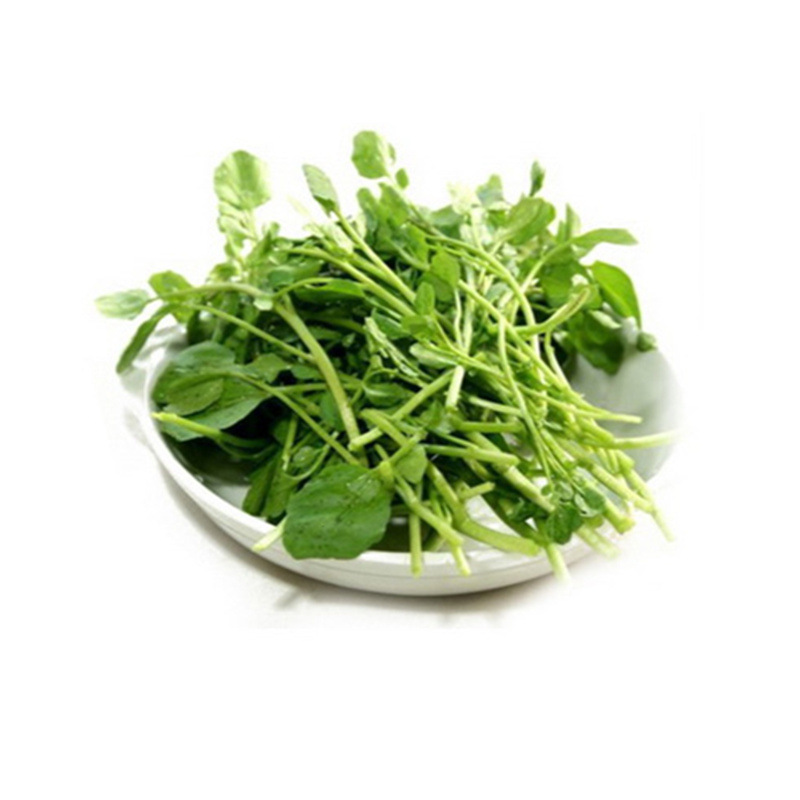 农聚源西洋菜500g豆瓣菜凉菜新鲜蔬菜as