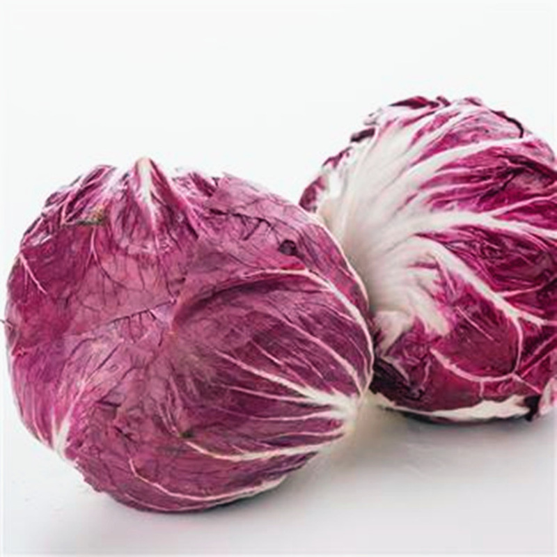 七果果红菊苣2斤生菜新鲜蔬菜as