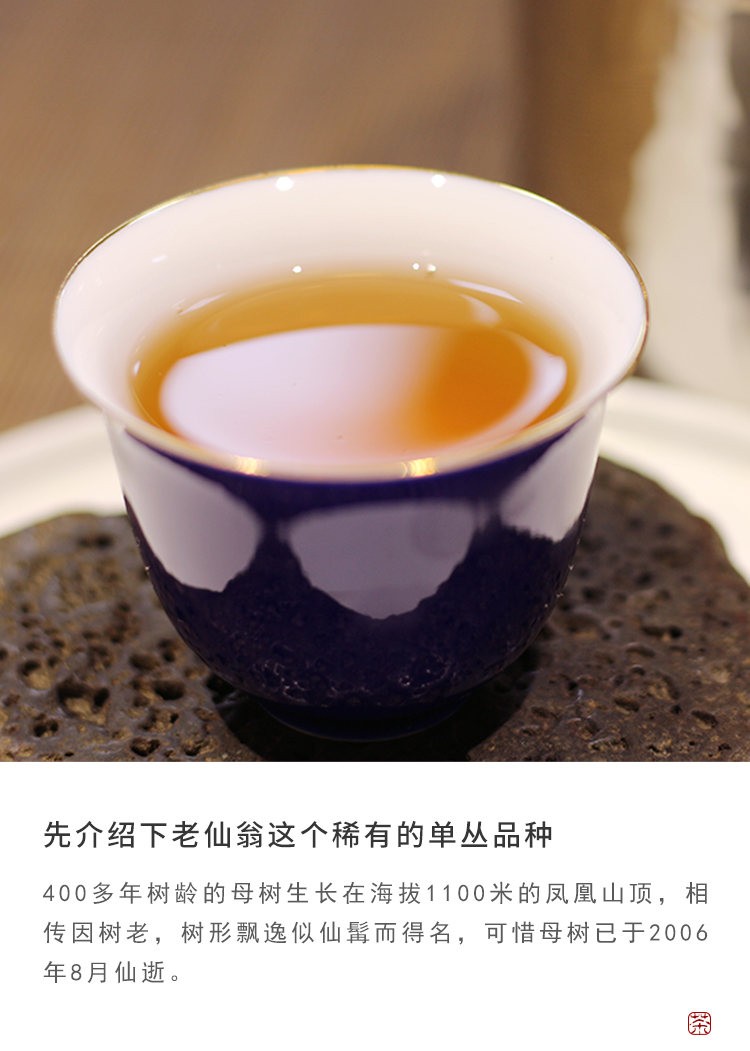 老仙翁上新2018年春茶高山单丛茶熟香山韵凤凰单枞茶500g