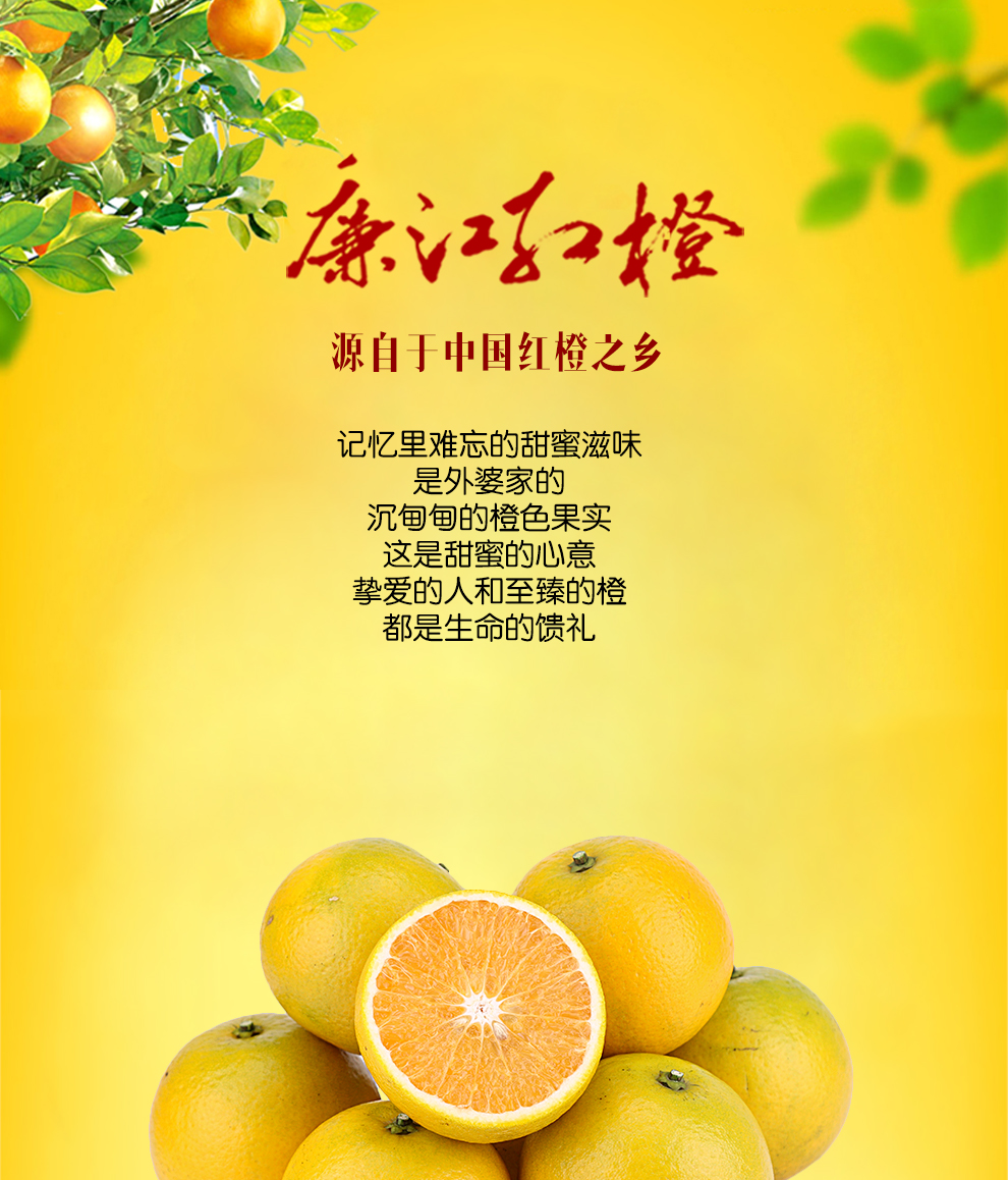 超级新品 【中华特色】廉江馆 廉江红橙 5斤装普通装 特产橙子 新鲜现