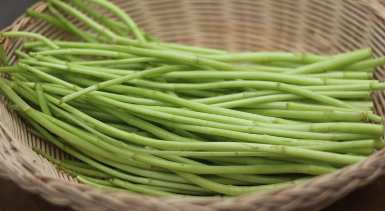 福茹特新鲜芦蒿/蒿子/泥蒿/藜蒿净芦蒿蔬菜已摘叶应季蔬菜蒿子1斤0015