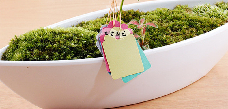 津沽园艺 园艺用品 室内盆栽花卉种植标签 植物标签 花卉标签 吊牌10