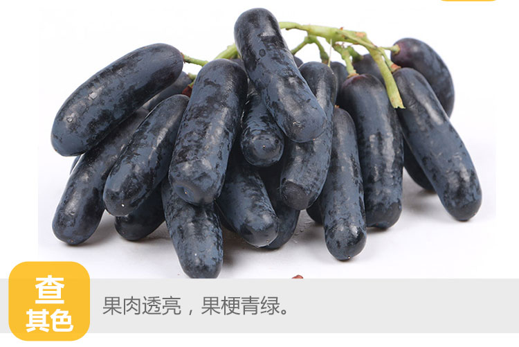 齐峰缘澳洲金手指黑提新鲜进口黑加仑无籽提子美人指葡萄水果2斤包邮