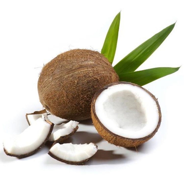 海南毛椰子5个装单个约1斤新鲜水果椰子产发qq