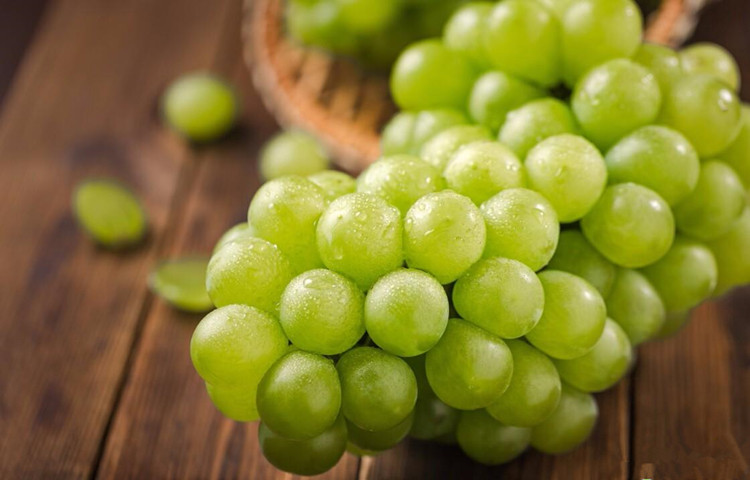 醉金香马陆葡萄6斤 新鲜味美 新鲜水果 现货sg