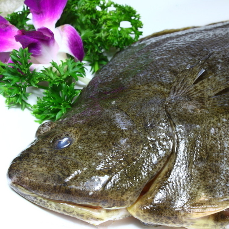 9kg 偏口鱼 左蝶鱼 水产cf【价格 图片 品牌 报价】-苏宁易购七果果
