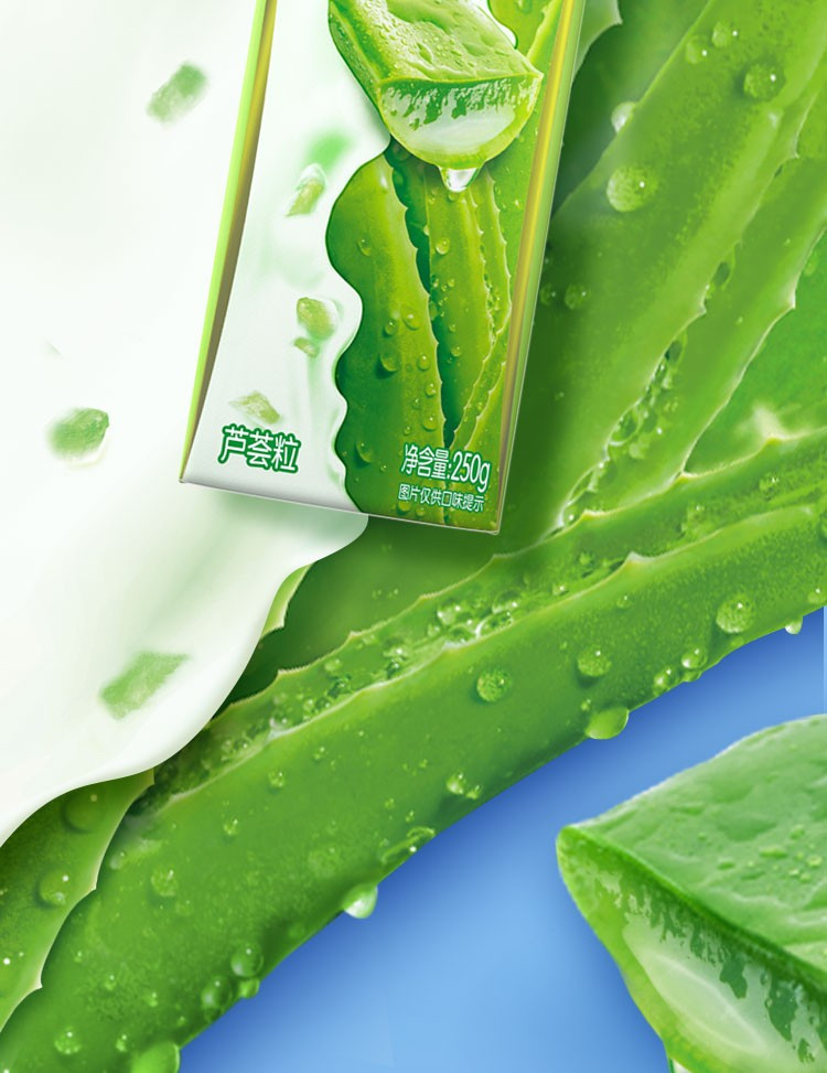 1月生产蒙牛真果粒牛奶饮品芦荟果粒250ml12盒