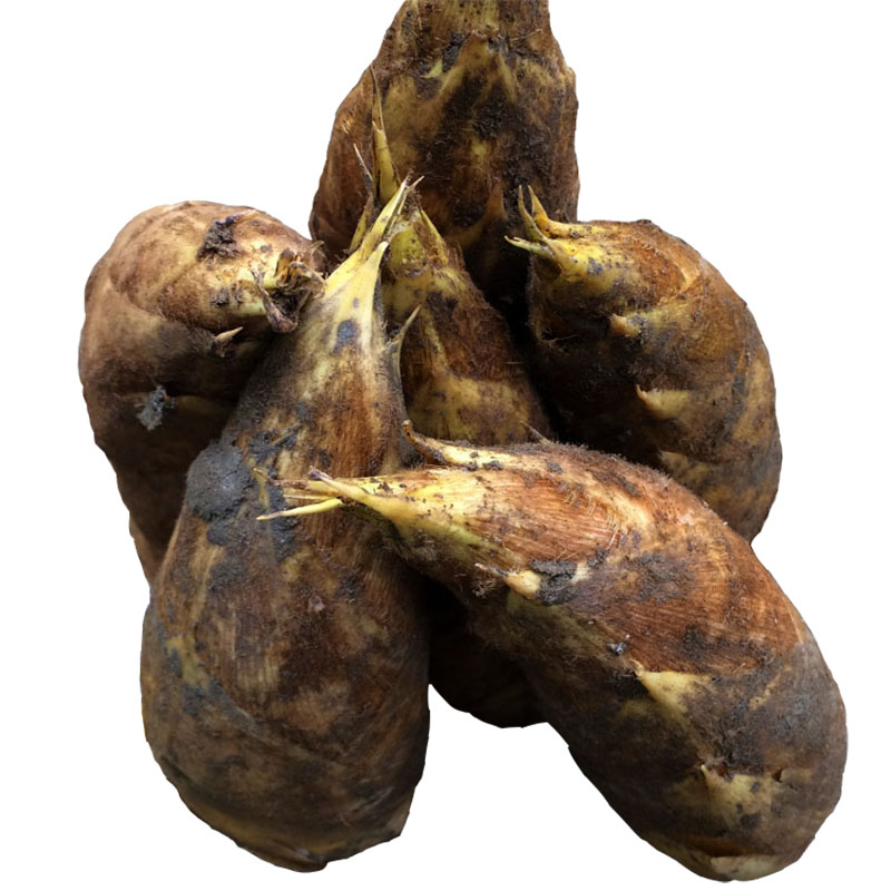 促销冬笋新鲜现挖5斤江西特产泥笋子野生竹笋春笋当季新鲜蔬菜