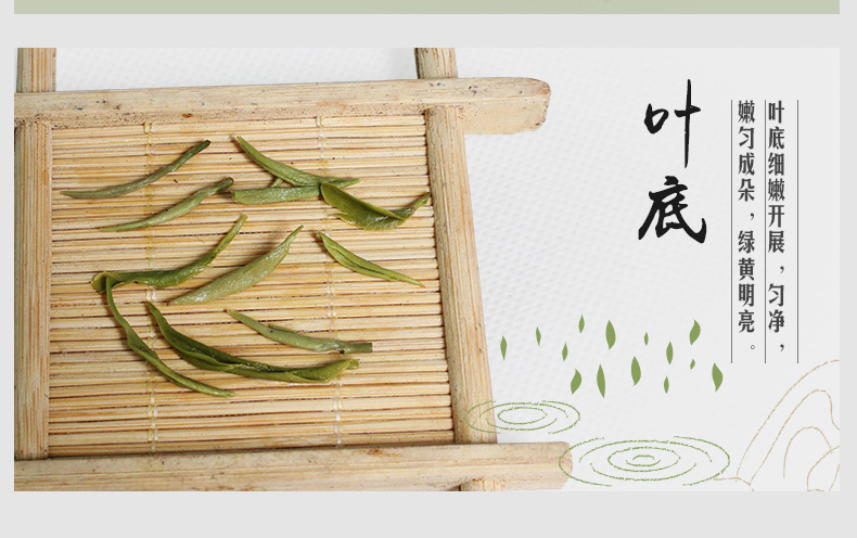 正山堂茶业元正武夷绿茶明前茶炒青工艺武夷山茶叶100g