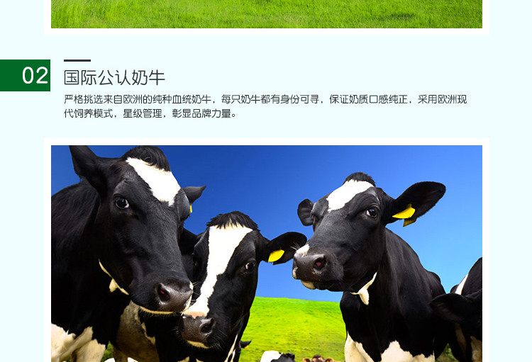 银桥原点牧场全脂纯牛奶250ml12盒