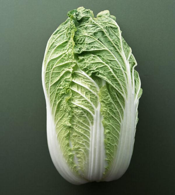 蔬菜种子春夏王白菜大白菜种子大棚种菜杂交种抽苔晚14g包